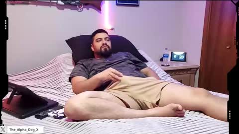 Snapshot of the_alpha_dog_xxx chatting on 13, 9, 2025 the_alpha_dog_xxx online show from 13, 9, 2025