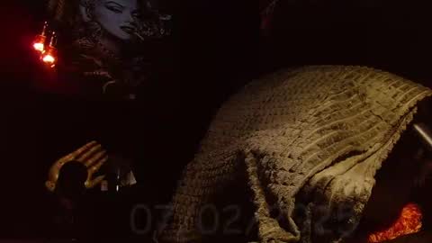 GIORGGIO online show from 7, 2, 2025