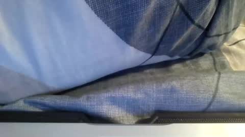 Snapshot of the_borderlands chatting on 1, 2, 2026 the crazy travellers online show from 1, 2, 2026