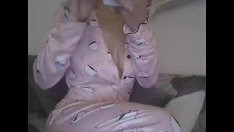 Snapshot of the_borderlands chatting on 17, 2, 2026 the crazy travellers online show from 17, 2, 2026