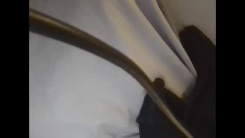 Snapshot of the_borderlands chatting on 26, 2, 2026 the crazy travellers online show from 26, 2, 2026