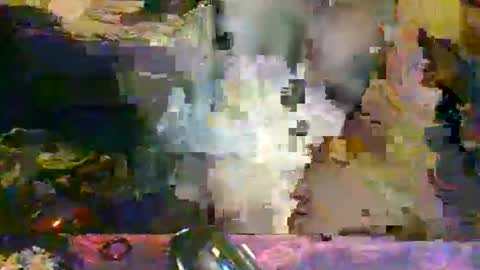 the_dragonlord1 online show from 13, 3, 2026