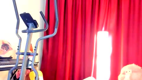 Ally    STREAMING ON TWITCH NOW Check my Twitter for updates online show from 2, 10, 2025