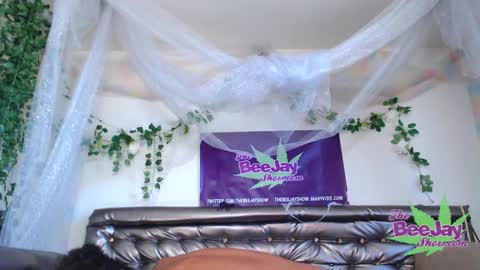 TheBeeJayShow online show from 4, 12, 2024