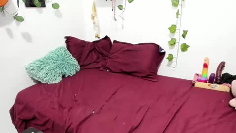 Snapshot of thefenix_jyk chatting on 30, 1, 2025 Ariamapola88 online show from 30, 1, 2025