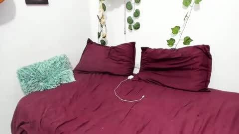 Snapshot of thefenix_jyk chatting on 5, 2, 2025 Ariamapola88 online show from 5, 2, 2025