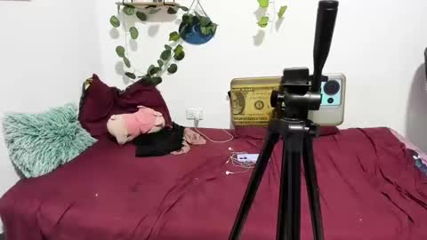 Snapshot of thefenix_jyk chatting on 4, 3, 2025 Ariamapola88 online show from 4, 3, 2025