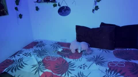 Snapshot of thefenix_jyk chatting on 16, 11, 2025 Ariamapola88 online show from 16, 11, 2025