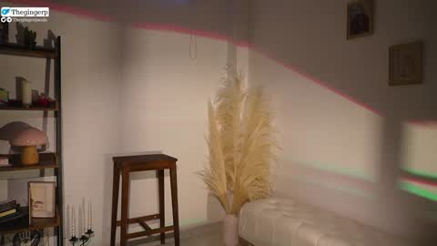   Streaming mostly at    online show from 4, 2, 2025