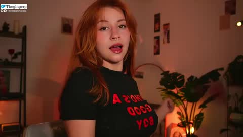   Streaming mostly at    online show from 27, 4, 2026