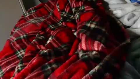 Liam online show from 23, 3, 2026