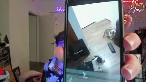 Johnny Stone online show from 29, 12, 2024