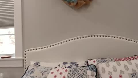 Snapshot of thelipsdown chatting on 1, 12, 2024 Lacey online show from 1, 12, 2024