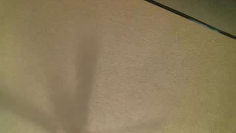 Daisy and Tim online show from 19, 10, 2025