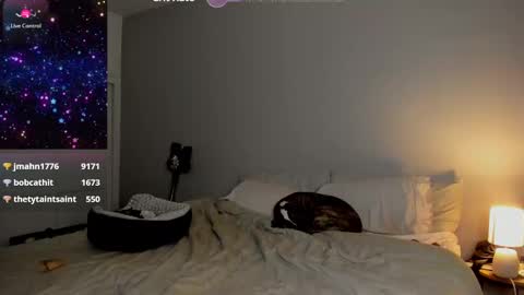 Snapshot of theselina_kyle chatting on 24, 1, 2025 Selina Kyle online show from 24, 1, 2025