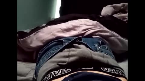 Snapshot of theturtleshead chatting on 23, 1, 2025 theturtleshead online show from 23, 1, 2025