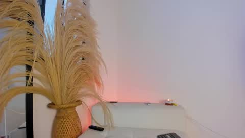 Snapshot of thiago_connor21 chatting on 10, 11, 2025 Thiago online show from 10, 11, 2025