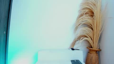 Snapshot of thiago_connor21 chatting on 1, 12, 2025 Thiago online show from 1, 12, 2025