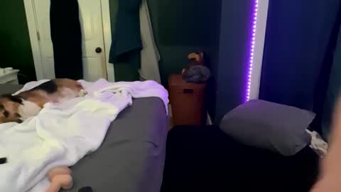 Thick D Bottom online show from 12, 3, 2026