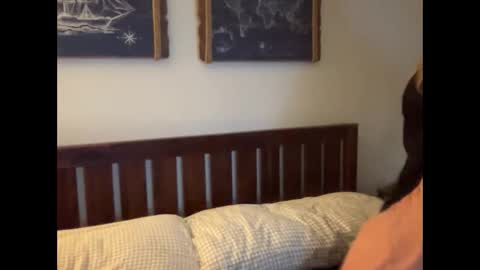 Ariel online show from 6, 3, 2025