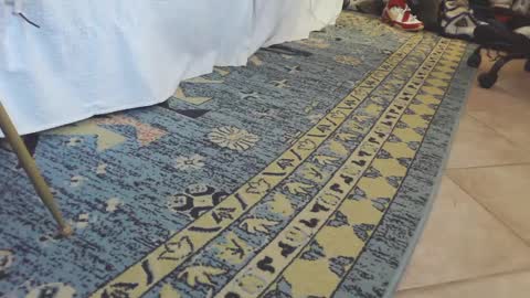 ThongMuscle online show from 27, 2, 2025