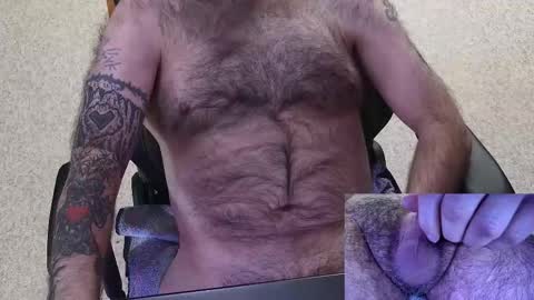 Prince Al online show from 17, 2, 2026