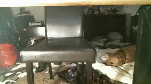 Thumper online show from 27, 10, 2025