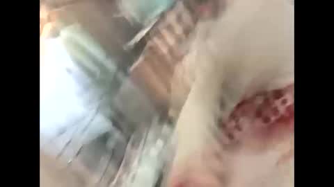 thunder8u42 online show from 10, 10, 2025