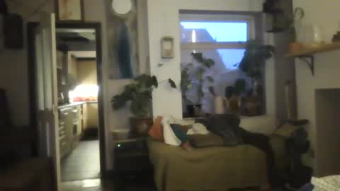 Snapshot of tiddles12345 chatting on 18, 10, 2025 tiddles12345 online show from 18, 10, 2025