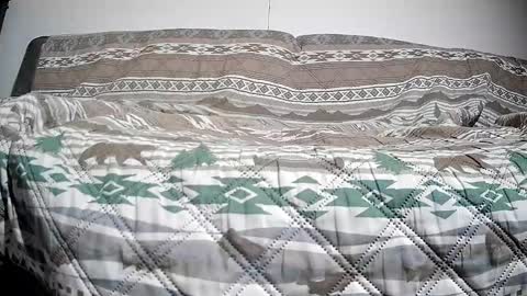 Casey online show from 13, 12, 2024