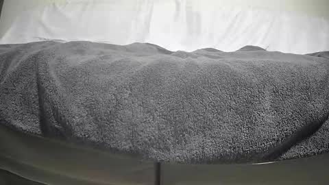 Casey online show from 29, 9, 2025