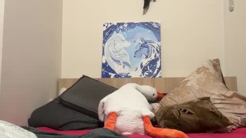 Wizard online show from 9, 2, 2025