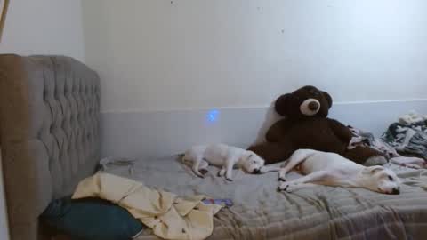 tini_mix206927 online show from 18, 4, 2026