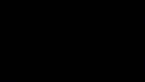 tinydaisy22 online show from 22, 11, 2025