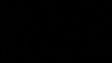 tinydaisy22 online show from 5, 12, 2025