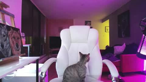 Snapshot of tinykylie chatting on 14, 10, 2025 stage Kylie Sinner brand CLITBAIT online show from 14, 10, 2025