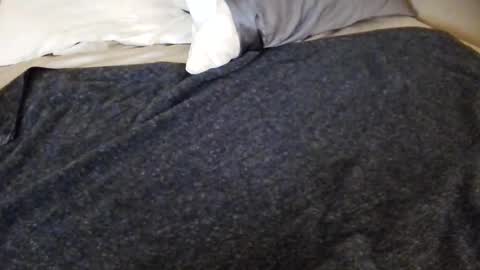 tinywithtiddies online show from 25, 4, 2026