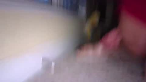 tj526316275 online show from 9, 1, 2025