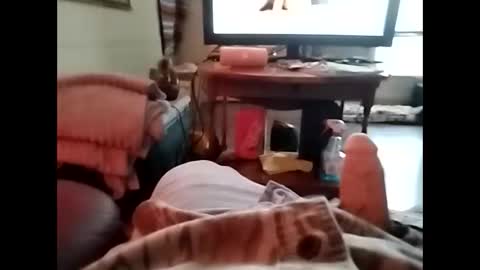 Snapshot of tjllagwbggrr chatting on 5, 1, 2026 tjllagwbggrr online show from 5, 1, 2026