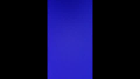 Vols online show from 28, 2, 2025