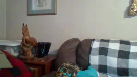 Vols online show from 29, 10, 2025