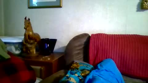 Vols online show from 29, 4, 2026