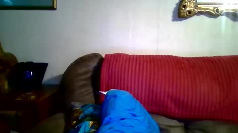 Vols online show from 29, 4, 2026