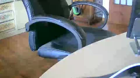 Snapshot of tobikoyuzu chatting on 30, 9, 2025 Tobiko online show from 30, 9, 2025