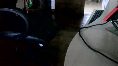 Snapshot of tobikoyuzu chatting on 15, 11, 2025 Tobiko online show from 15, 11, 2025