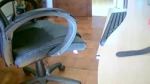 Snapshot of tobikoyuzu chatting on 29, 11, 2025 Tobiko online show from 29, 11, 2025