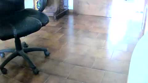 Snapshot of tobikoyuzu chatting on 2, 12, 2025 Tobiko online show from 2, 12, 2025