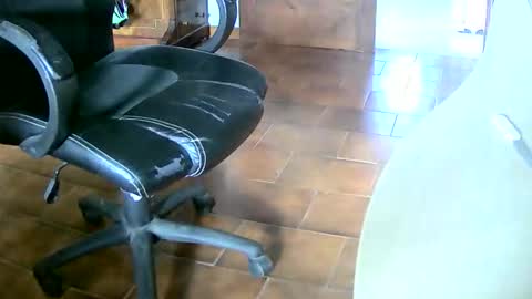 Snapshot of tobikoyuzu chatting on 20, 12, 2025 Tobiko online show from 20, 12, 2025