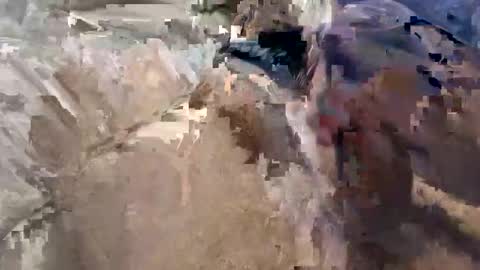 Toby online show from 23, 4, 2026