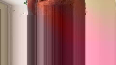 toddmacg online show from 23, 11, 2025